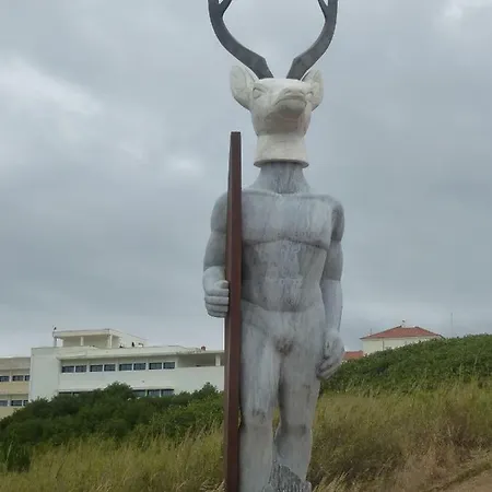Διαμέρισμα Anita House Portugal Murtosa
